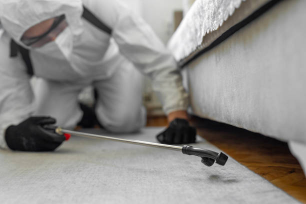 Professional Bed Bug Control technician working in Shawsville, VA